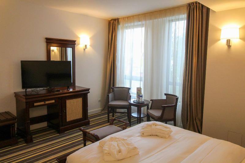 Hotel Avenue Buzau image