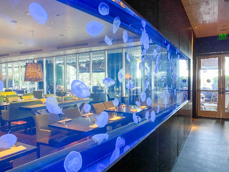 W Residences Fort Lauderdale Luxury Suites image