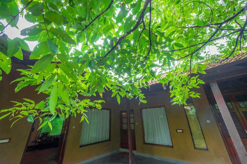 Beyond Stay Mahua Vann Pench
