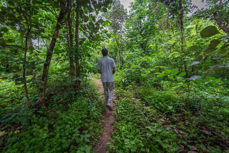 Beyond Stay Mahua Vann Pench