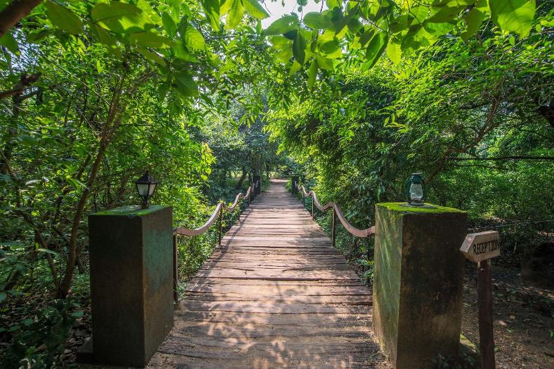 Beyond Stay Mahua Vann Pench