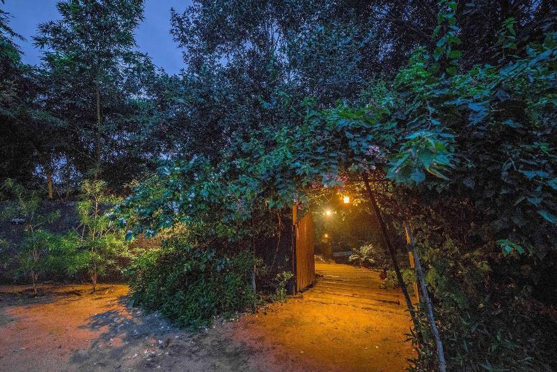 Beyond Stay Mahua Vann Pench