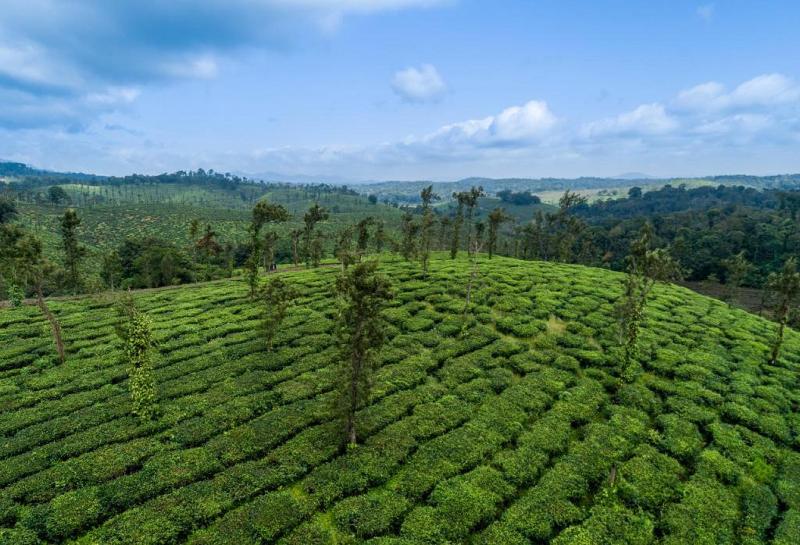 Amritara Ambatty Greens Resort image