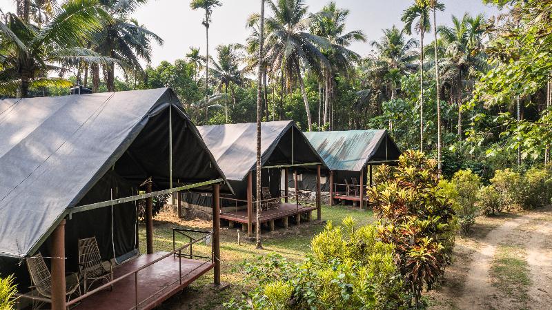 Amritara Riverside Luxury Tents image