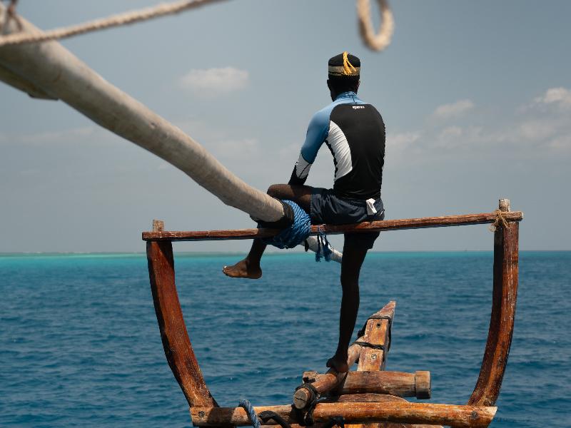 The Mora Zanzibar image