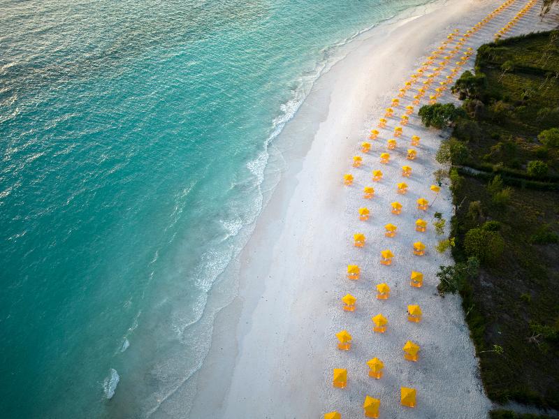 The Mora Zanzibar image