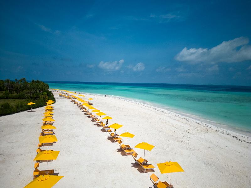 The Mora Zanzibar image