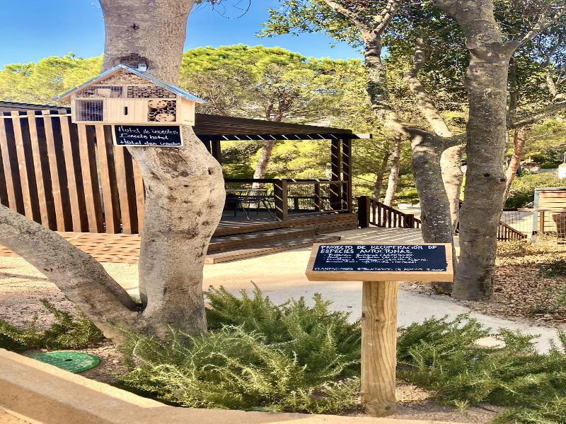 Talaia Plaza EcoResort image