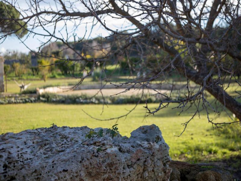 Masseria Lilei image