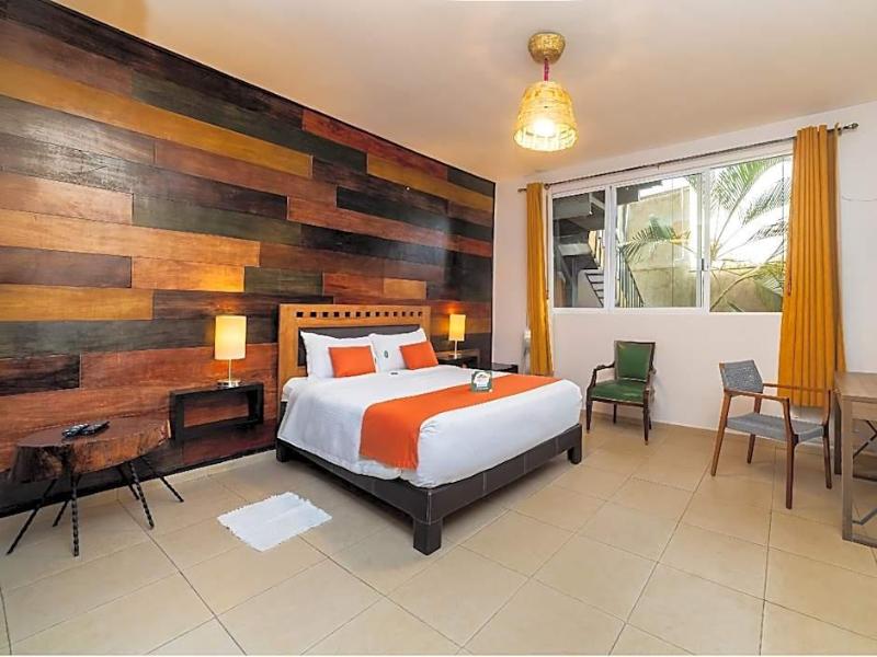 Collection O Casa Anzures Thematic, Mexico City image