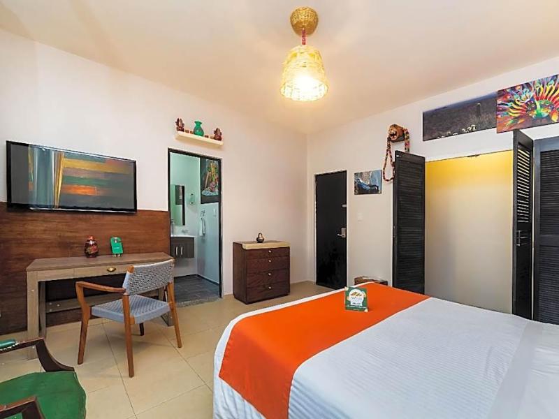 Collection O Casa Anzures Thematic, Mexico City image