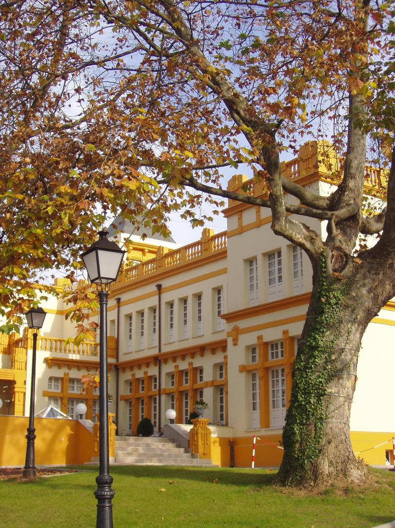 Hotel Hotel Arcea Palacio de las Nieves