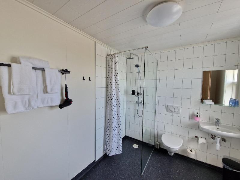 Hotel Mikael image