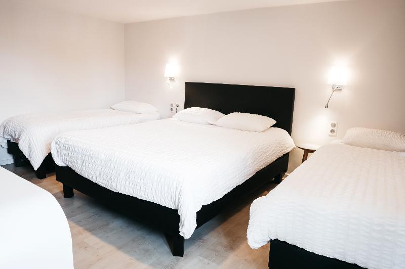 Logis Hotel Au Lion Rouge image