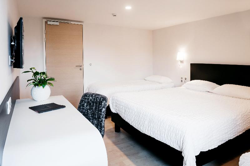 Logis Hotel Au Lion Rouge image