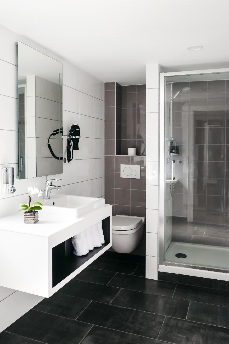 Logis Hotel Au Lion Rouge image