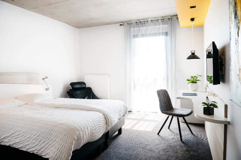 Logis Hotel Au Lion Rouge image