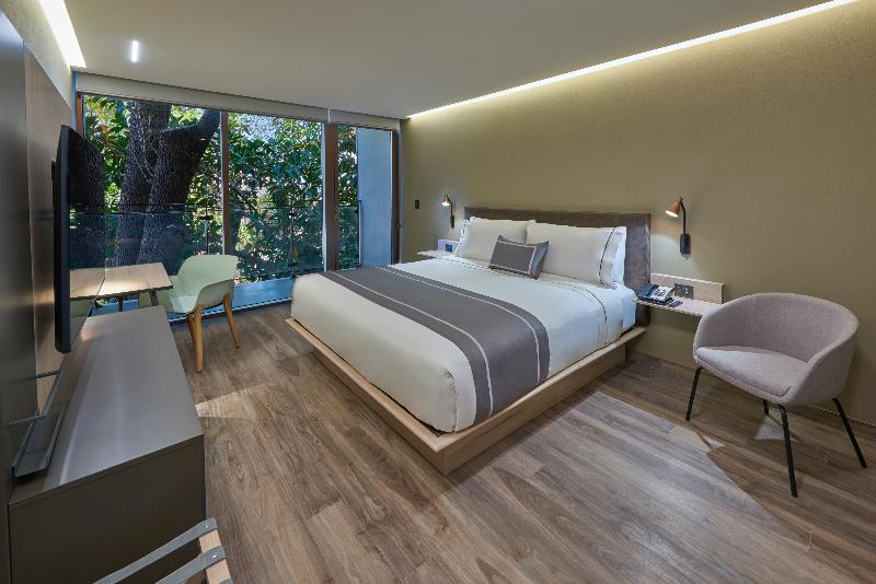 City Express Plus by Marriott GDL Providencia image