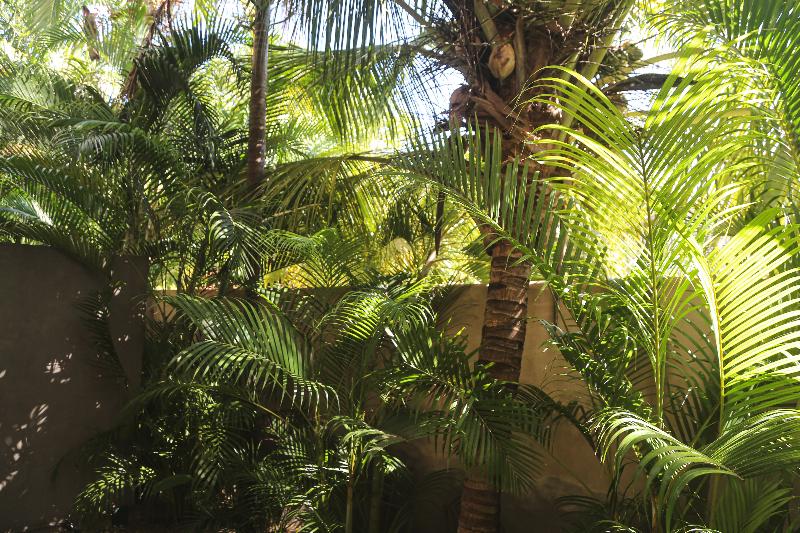 Makena Hotel image