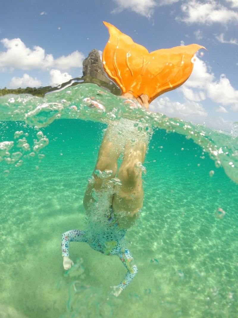 Dolphin Hotel image