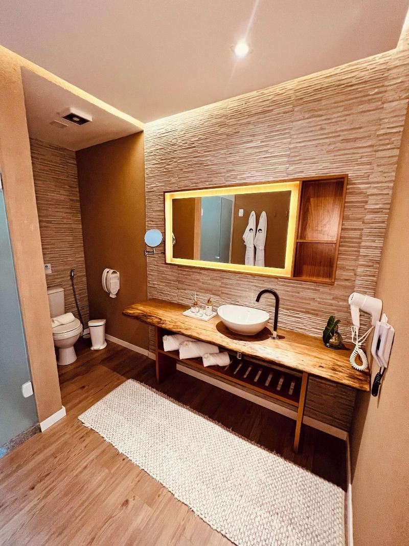 Dolphin Hotel image