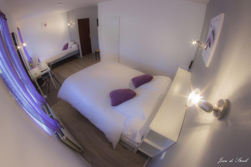 Logis Hotel le Pont d'Arcole image