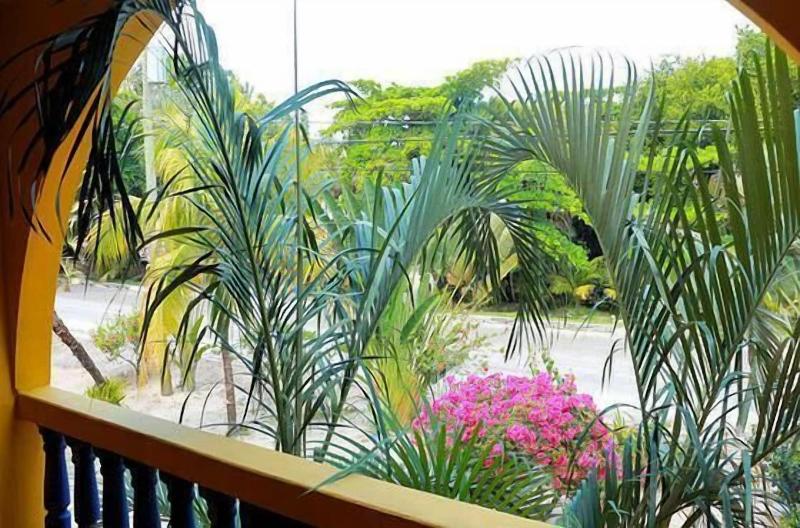 Maya Breeze Inn — photo 2