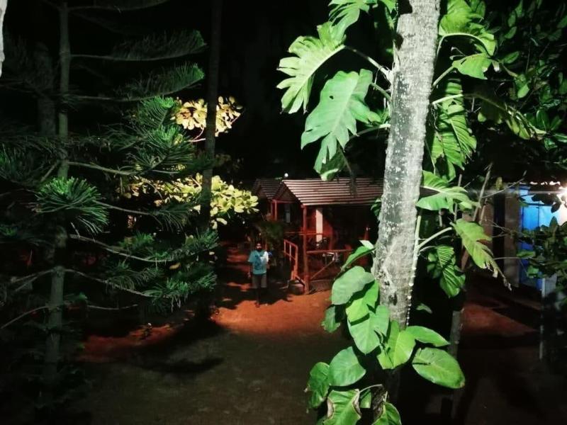 Royal Touch Beach Huts & Restaurant image
