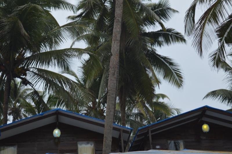 Royal Touch Beach Huts & Restaurant image
