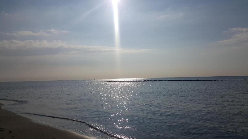 Il Mare di Roma image