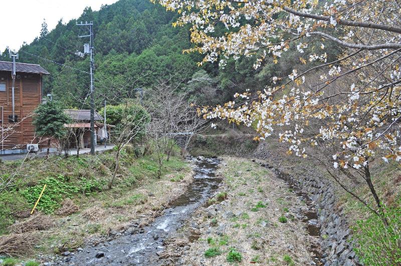 Nature Resort in Shimanto image