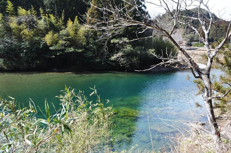 Nature Resort in Shimanto image