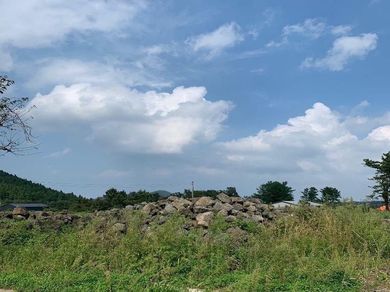 Woojinsam Pension image