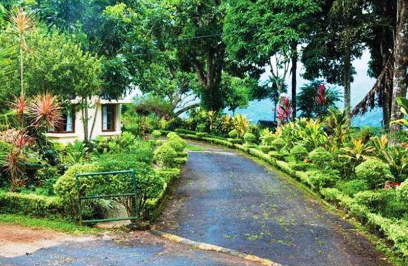 Ancoombra Tea Estate Bungalow image