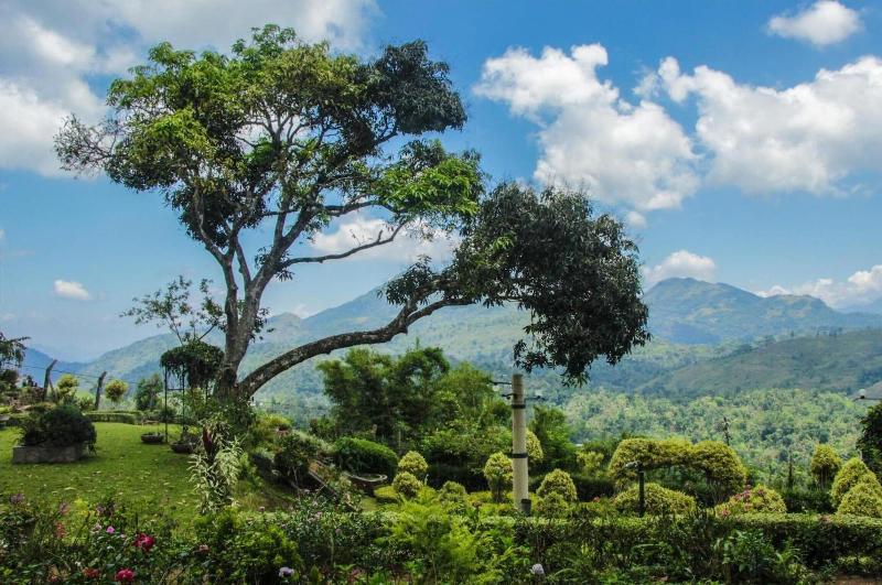 Ancoombra Tea Estate Bungalow image