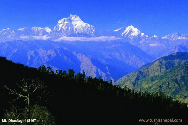 Tushita Nepal Yoga Retreat Center image