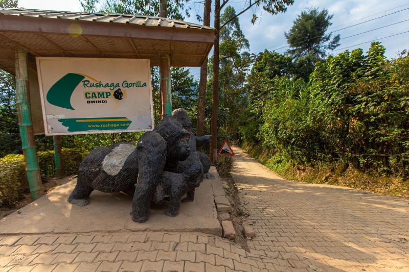 Rushaga Gorilla Camp image