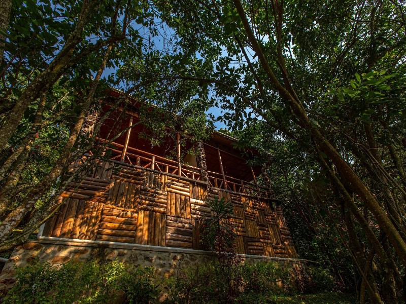 Rushaga Gorilla Camp image