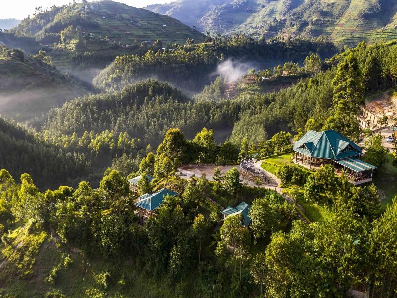 Rushaga Gorilla Camp image