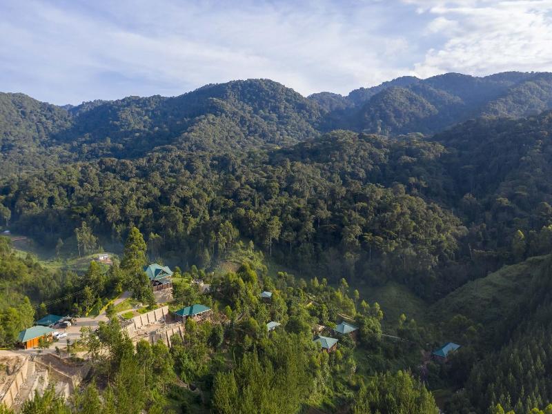 Rushaga Gorilla Camp image