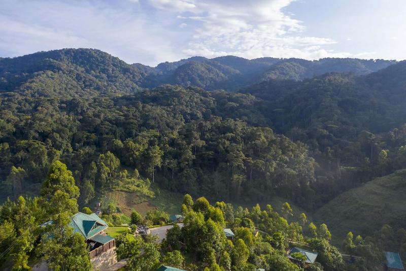 Rushaga Gorilla Camp image