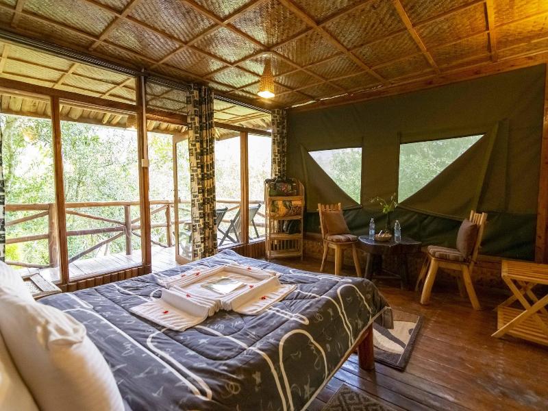 Rushaga Gorilla Camp image