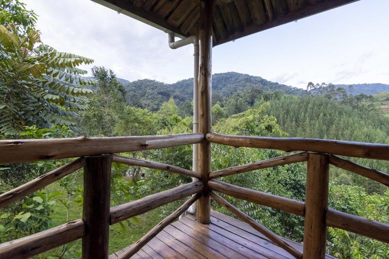 Rushaga Gorilla Camp image