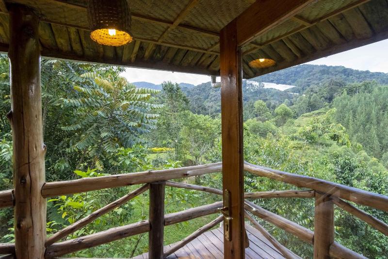 Rushaga Gorilla Camp image