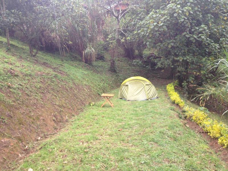Rushaga Gorilla Camp image