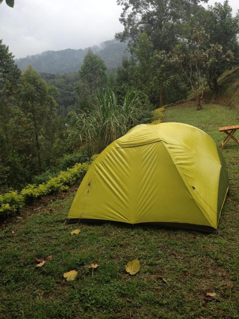 Rushaga Gorilla Camp image
