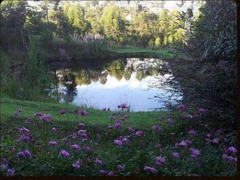 Arum Hill Lodge image