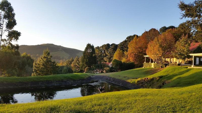 Arum Hill Lodge image