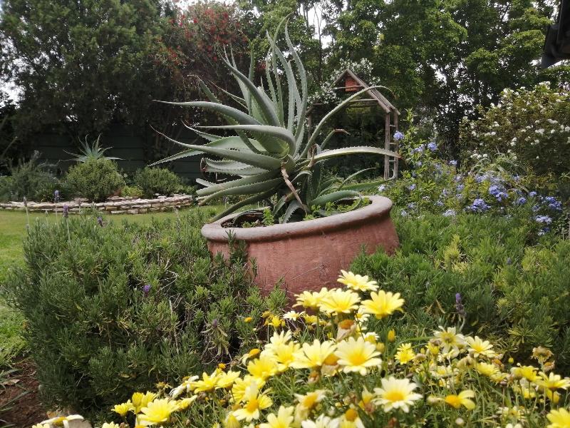 Dias Guest House image