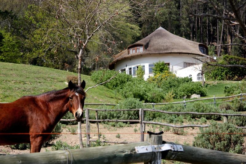 MontMartre Chalets and Guest House image